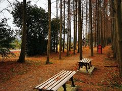 -上海长兴岛郊野公园