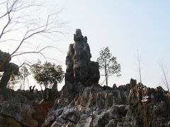 -千岛湖石林