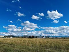-张北坝上草原
