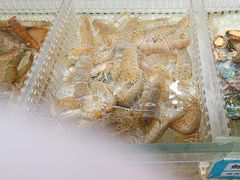 -山海经·海边人家 海鲜新青岛菜(扬州路店)