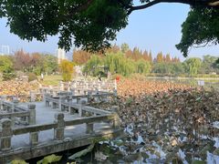 -江心屿景区