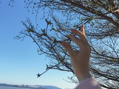 -深圳湾公园(南山区)