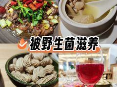 -鲜菌江湖正宗野生菌火锅