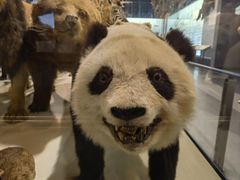 -浙江自然博物院(杭州馆)