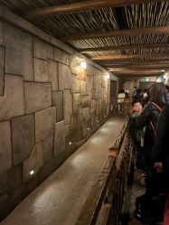 -翱翔飞越地平线