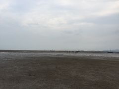 iphone_upload_pic-刘家湾赶海园