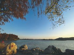 -东湖落雁景区