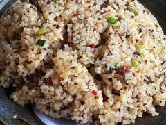 -蘑统田下·野生菌火锅