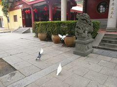 -梵天禅寺