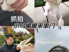 -南宁方特东盟神画