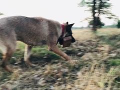 -永定河休闲森林公园