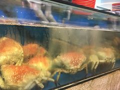 -海九澎湖海鲜餐厅