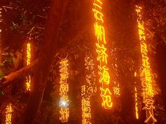 -丹樱生态园