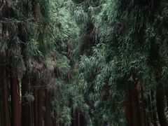 -太阳湾风景区