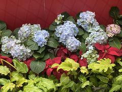 -郑州植物园