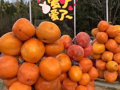 -都江堰石锅鱼