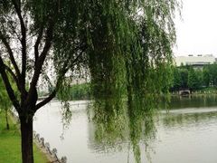 -上海市第一人民医院(松江南部)