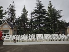 -日照海滨国家森林公园