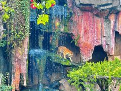-长鹿旅游休博园