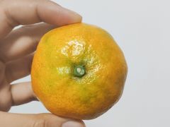 东江蜜橘-百果园PAGODA(法华镇路店)