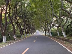 -宜兴龙背山森林公园