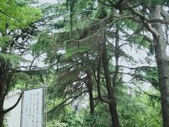 -苏州大学(天赐庄校区)