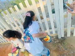 -前小桔亲子创意农场·草莓采摘·露营烧烤