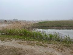 -春花秋色城市公园