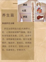 -香薇妮丝·定制减肥·身材管理