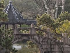 -上海醉白池公园