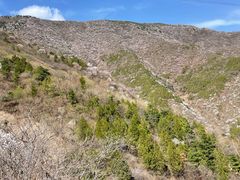 -北京鹫峰国家森林公园