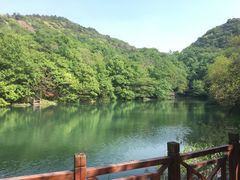-白马涧龙池景区