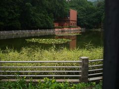 -西南政法大学(沙坪坝校区)