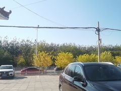 -阳坊大都涮羊肉(阳坊总店)