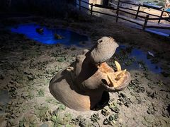 -大连自然博物馆