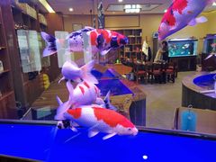 -中环花鸟鱼虫市场