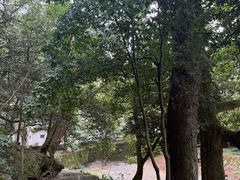 -郭洞古生态村