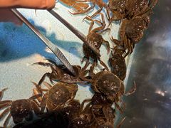 -圣罗巴海鲜烤肉自助(佳兆业店)