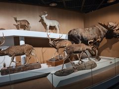 -陕西自然博物馆