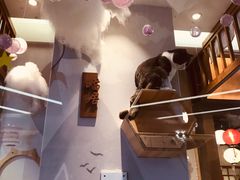 -开元盛世广场(新华北路店)