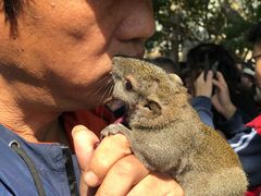 -西湖外事游船(湖滨二公园外事游船码头)