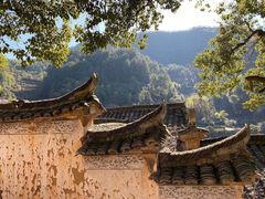 -杨家堂村