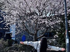 -柱状节理带