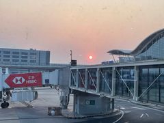 -上海浦东国际机场-T2航站楼