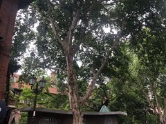 -飞马旅黎黄陂路文旅街区