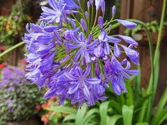 -木王宴语·野生鲜菌火锅(玉河店)