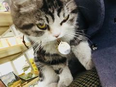 -一品格美术·中考高中成人美术培训