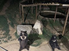 -无锡动物园·太湖欢乐园