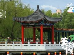 -莲花池公园