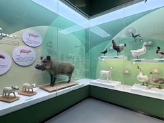 -国家自然博物馆